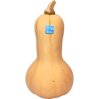 BIO vom BERG Bio Kürbis Butternut ca. 1 Stück