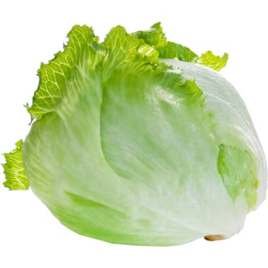 Jeden Tag BIO Bio Eisbergsalat