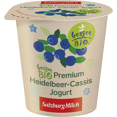 SalzburgMilch Bio Fruchtjoghurt Heidelbeere