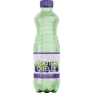 Römerquelle Brombeer-Limette 0,5 Liter