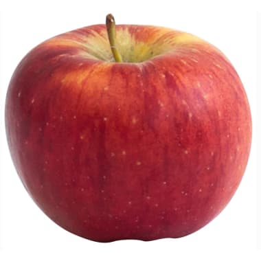 Gala Apfel ca. 1 Stück