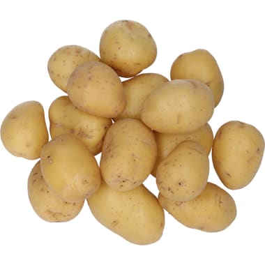 Kartoffel mehlig