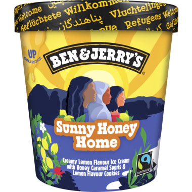 Ben & Jerry's Sunny Honey Home