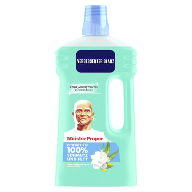 Meister Proper Allzweckreiniger Frühlingserwachen