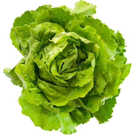 ***** Kopfsalat ca. 1 Stück