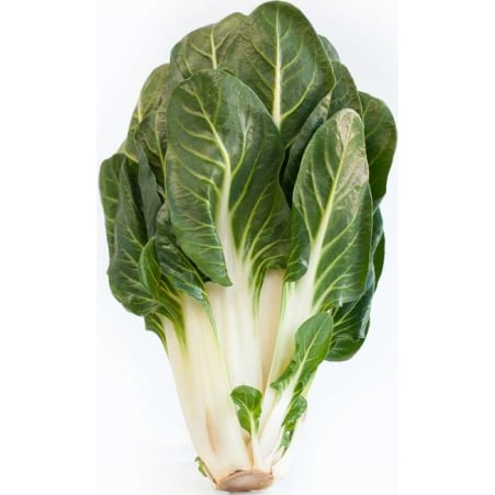 Mangold 500 gr