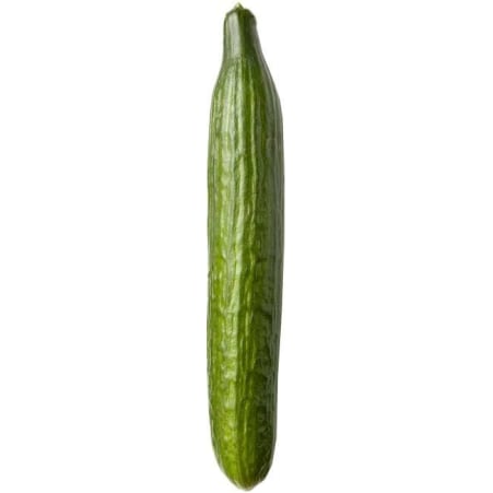 Bio Gurke