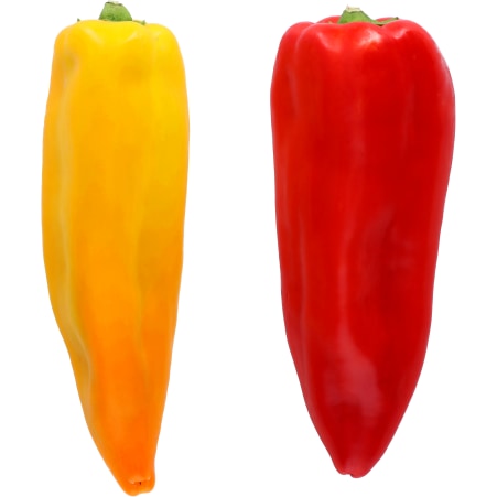 Paprika Spitz rot/gelb