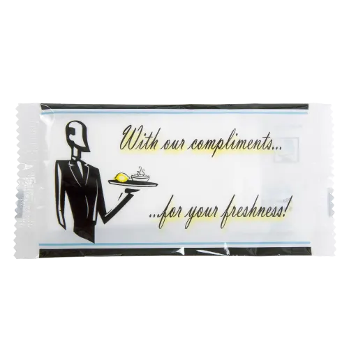 8.5" x 6.7" Moist Towelettes