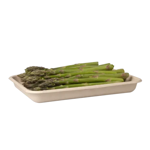 8.9" x 6.5" x 1" Molded Fiber Tray