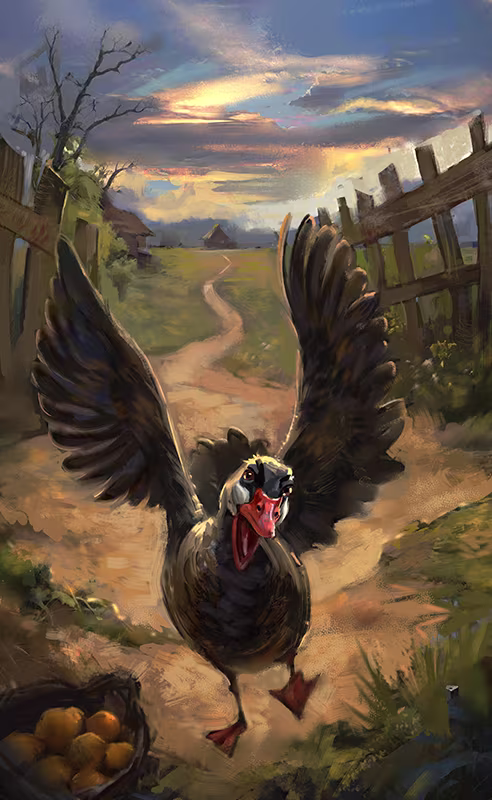 Ordinary Goose