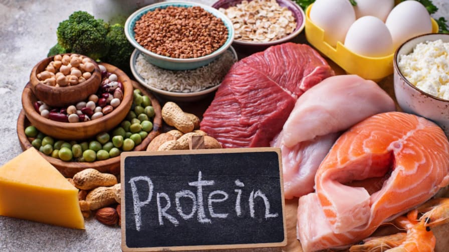 What are and Why Protein Rich Foods are important? | Sacred Beast