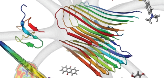 amyloid