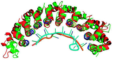 protein binding