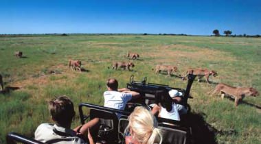 13-daagse groepsreis Tanzania & Kenia 13-daagse groepsreis Tanzania & Kenia
