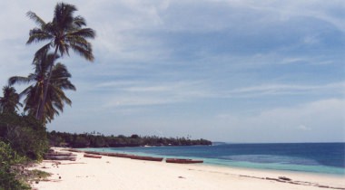13 dagen - gamedrives in Tanzania met Zanzibar 13 dagen - gamedrives in Tanzania met Zanzibar