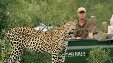 Best of Kruger Best of Kruger