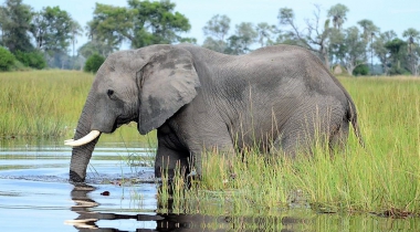 Groepsreis Botswana, Namibië en Victoria Falls