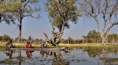Safari in Botswana, Namibië en Zimbabwe