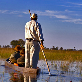 Botswana safari's