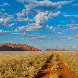 Namibië safari's