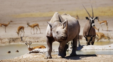 Woestijnen, Wildparken & Watervallen