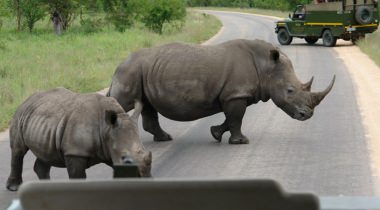 Groepsreis Zuid-Afrika, Swaziland & Lesotho Groepsreis Zuid-Afrika, Swaziland & Lesotho