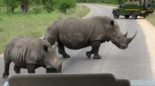 Groepsreis Zuid-Afrika, Swaziland & Lesotho Groepsreis Zuid-Afrika, Swaziland & Lesotho