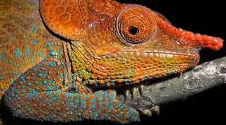 Rondreis Madagascar Rondreis Madagascar