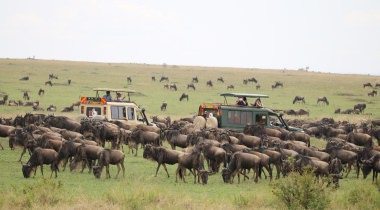 Migratie safari Kenia & strand