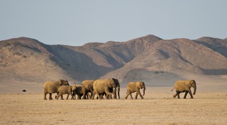 Rondreis veelzijdig Namibië Rondreis veelzijdig Namibië