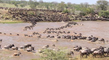 12 dagen Kampeersafari Grote Trek Tanzania 12 dagen Kampeersafari Grote Trek Tanzania