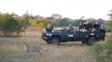 Zuid-Afrika Hoogtepunten 4 – Oostkant + Kaapstad