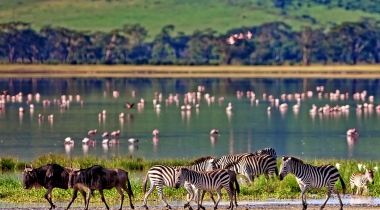 Afrikaanse wildernis en paradijselijk Zanzibar Afrikaanse wildernis en paradijselijk Zanzibar