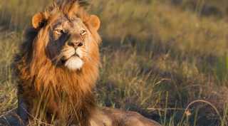 Actieve reis van Johannesburg naar de Wild Coast Actieve reis van Johannesburg naar de Wild Coast