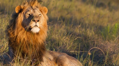 Actieve reis van Johannesburg naar de Wild Coast Actieve reis van Johannesburg naar de Wild Coast