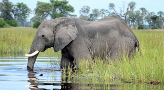 Groepsreis Botswana, Namibië en Victoria Falls