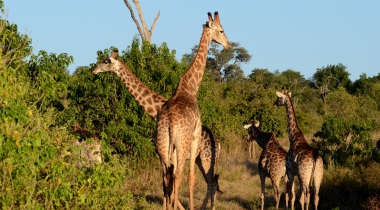 Windhoek naar Victoria Falls reis