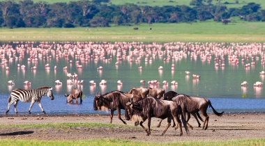 Safarireis Odyssee door Kenia en Tanzania Safarireis Odyssee door Kenia en Tanzania