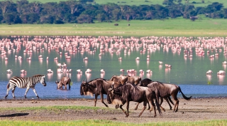 Safarireis Odyssee door Kenia en Tanzania Safarireis Odyssee door Kenia en Tanzania