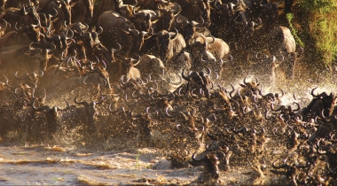 Migratiereis Tanzania & Zanzibar Deluxe Migratiereis Tanzania & Zanzibar Deluxe