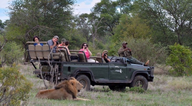 Safari Zuid-Afrika Safari Zuid-Afrika