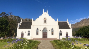 Rondreis Zuid-Afrika: Kaapstad, Tuinroute en Safari