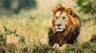 Avontuur in Tanzania & Zanzibar Avontuur in Tanzania & Zanzibar