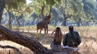 Zimbabwe in Vogelvlucht
