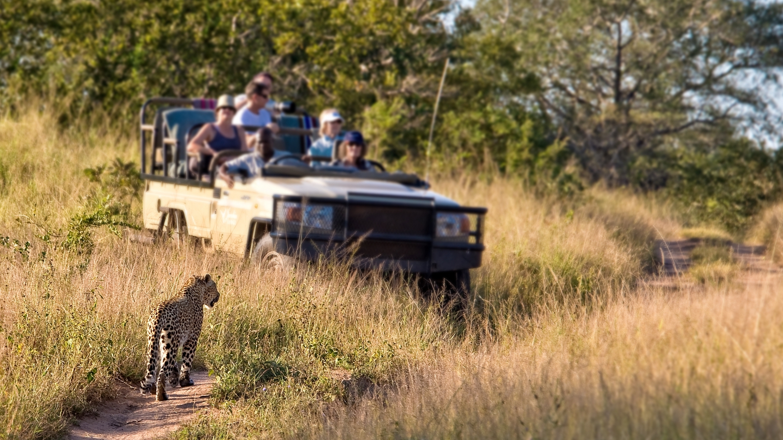 Kruger Park, een van Afrika's meest bekende parken Kruger Park, een van Afrika's meest bekende parken