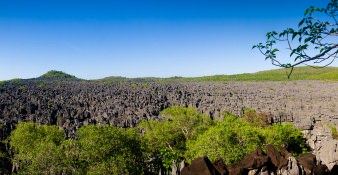 Ankarana National Park