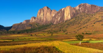Isalo National Park, ruig met schitterende flora