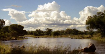 Ruaha Nationaal Park, afgelegen met een spectaculaire wildernis Ruaha Nationaal Park, afgelegen met een spectaculaire wildernis