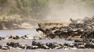 16 daagse groepsreis Tanzania & Zanzibar